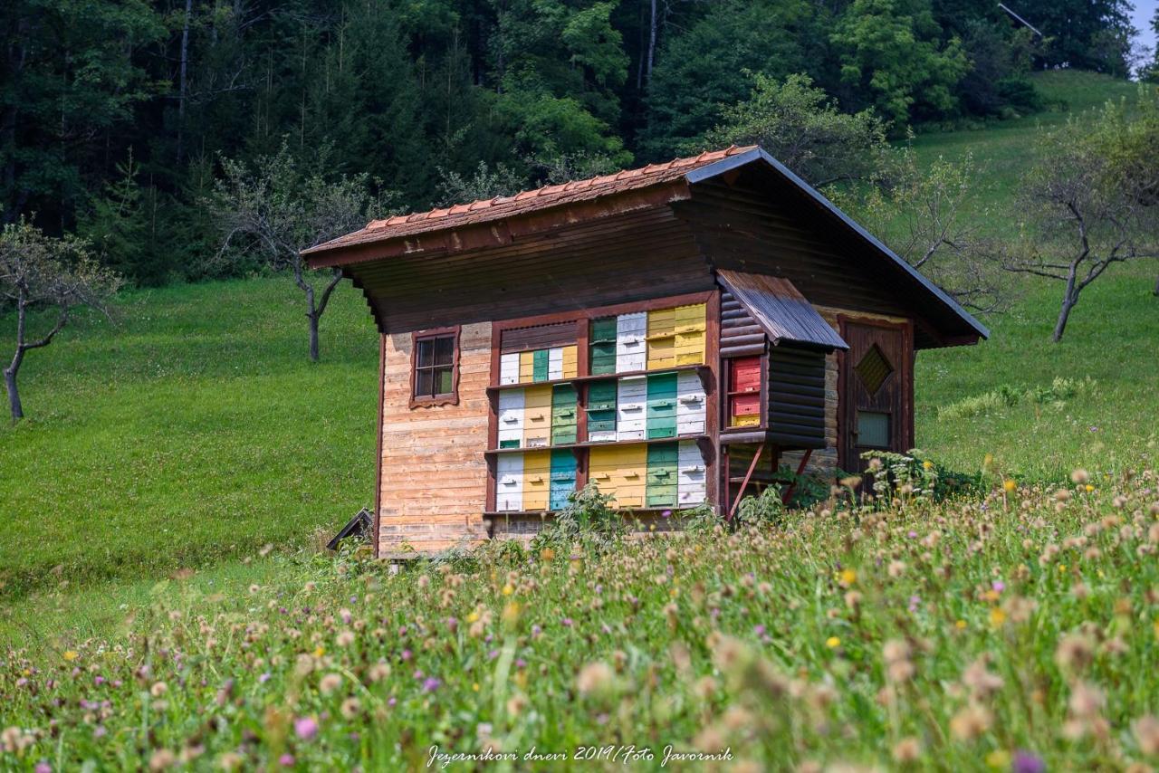 Pocitniska Hisa Koca Dobnik Villa Lovrenc na Pohorju ภายนอก รูปภาพ