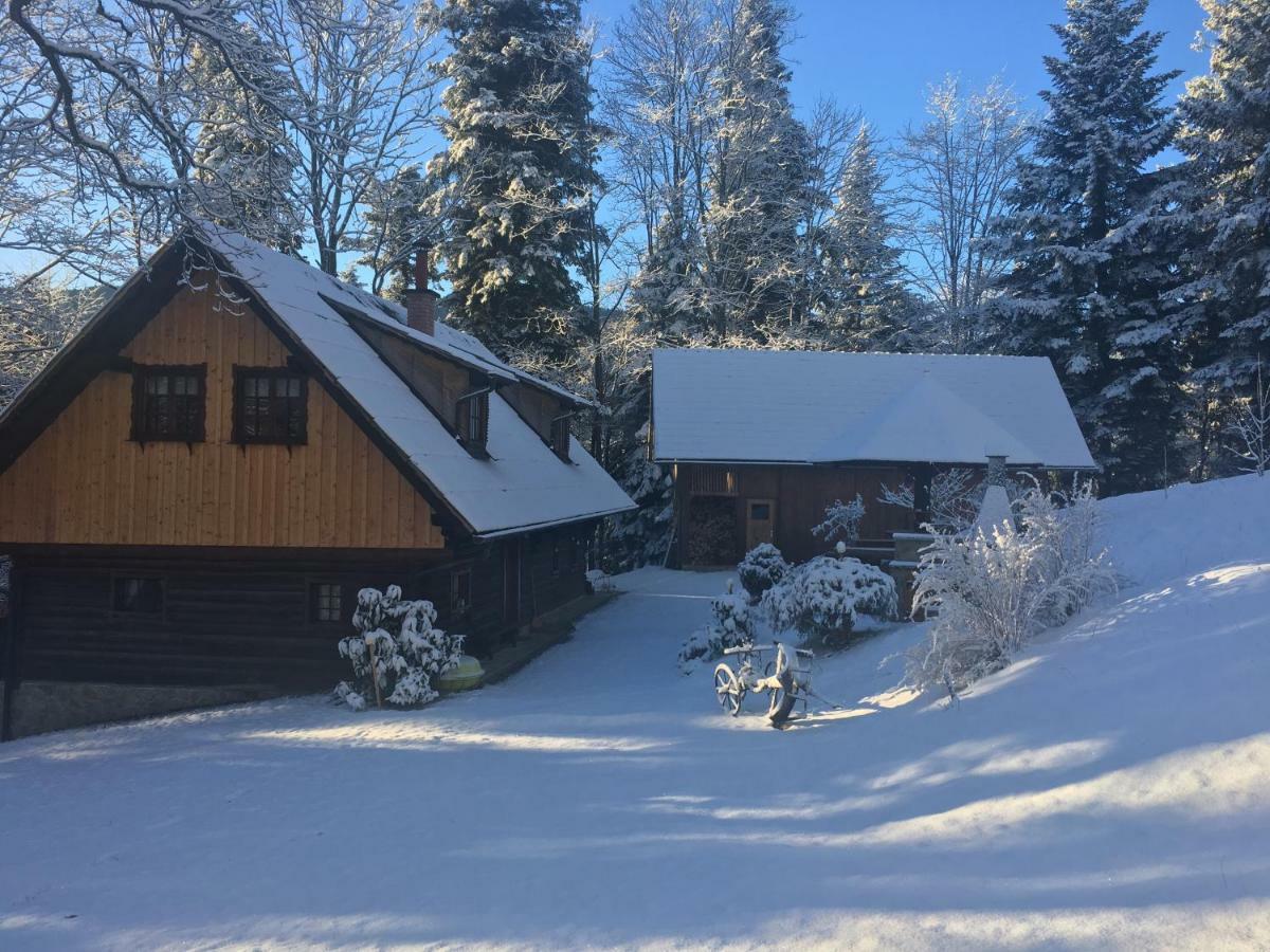 Pocitniska Hisa Koca Dobnik Villa Lovrenc na Pohorju ภายนอก รูปภาพ