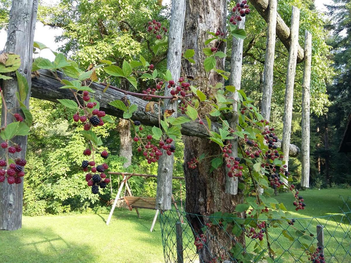 Pocitniska Hisa Koca Dobnik Villa Lovrenc na Pohorju ภายนอก รูปภาพ