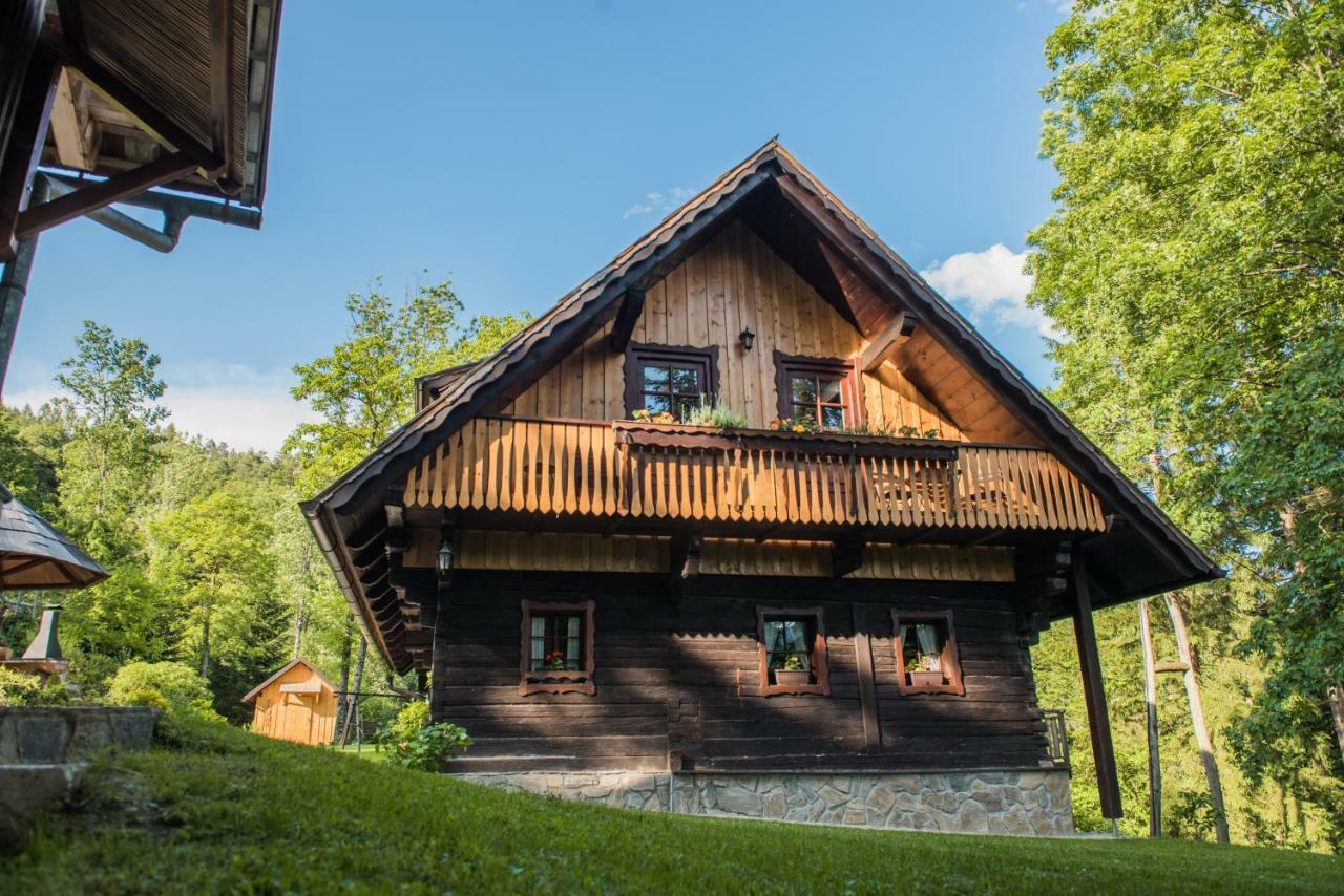 Pocitniska Hisa Koca Dobnik Villa Lovrenc na Pohorju ภายนอก รูปภาพ