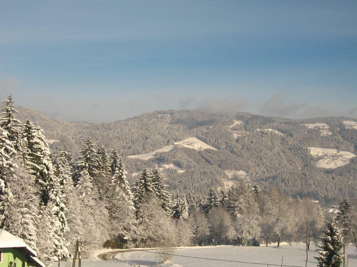 Pocitniska Hisa Koca Dobnik Villa Lovrenc na Pohorju ภายนอก รูปภาพ